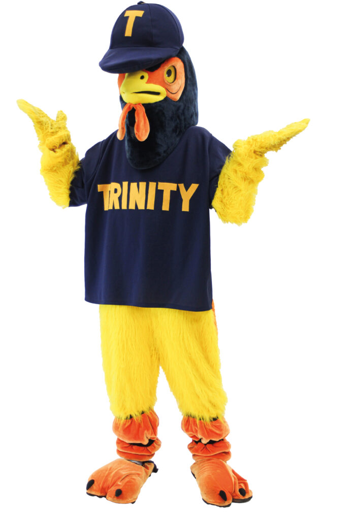 The bantam mascot