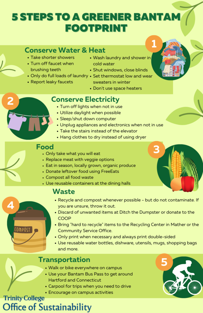 tips to reduce your carbon footprint