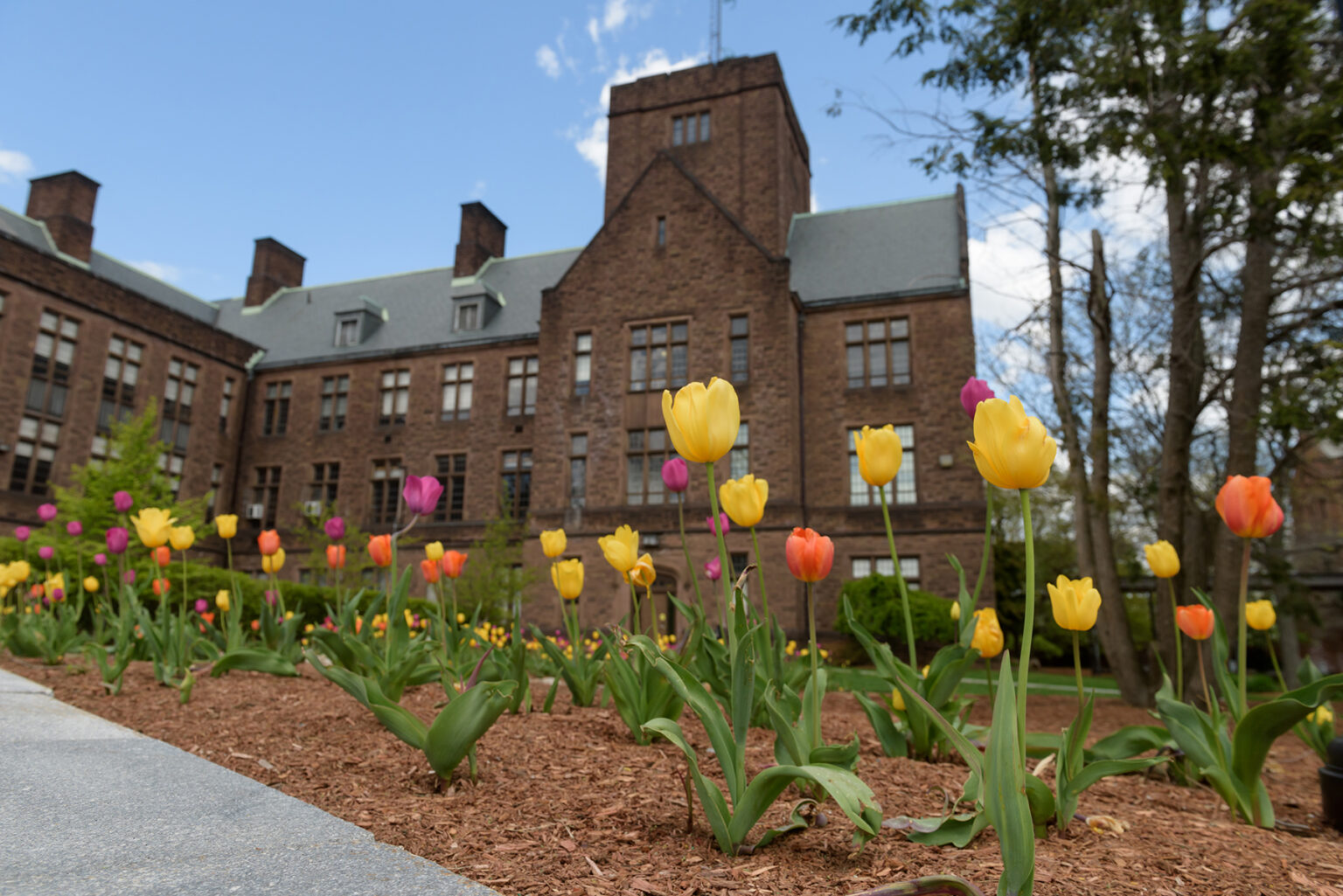 Trinity Community Celebrates the Enrollment of the Class of 2025