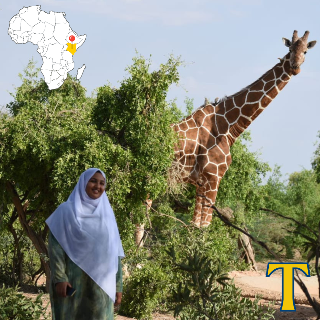 Summer interns 2024:Amina Farah ’25 at the Somali Giraffe Project at the Hirola Conservation Program in Kenya.